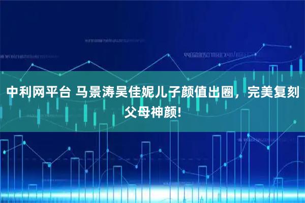 中利网平台 马景涛吴佳妮儿子颜值出圈，完美复刻父母神颜!
