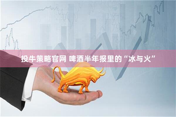投牛策略官网 啤酒半年报里的“冰与火”
