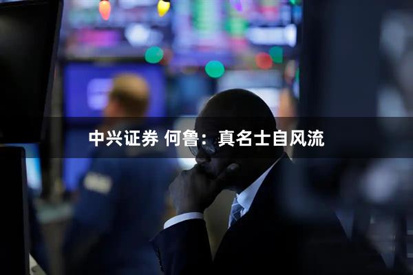 中兴证券 何鲁：真名士自风流